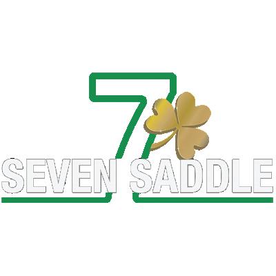 Seven Saddle