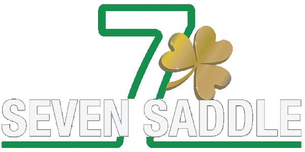 Seven Saddle
