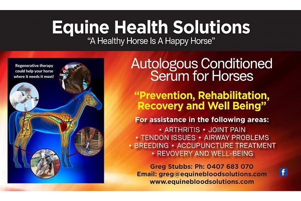 Equine Blood Solutions